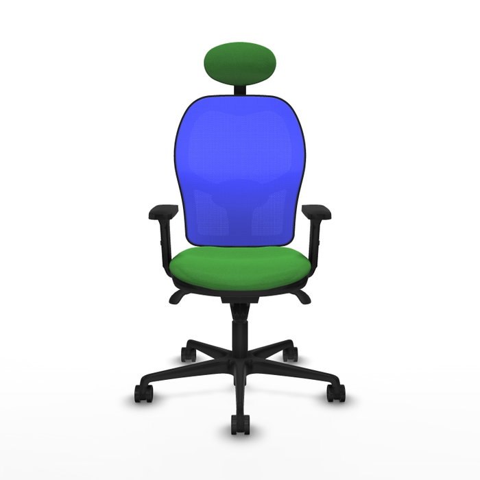 PIQUERAS Y CRESPO Silla de oficina Jorquera con mecanismo Sincro, Tela Verde y Malla Azul PIQUERAS Y CRESPO Silla de oficina Jorquera con mecanismo Sincro, Tela Verde y Malla Azul