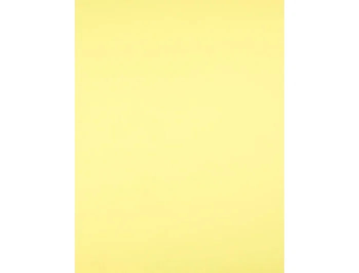 Liderpapel Cartulina Amarillo medio 50x65 cm 240 g/m2