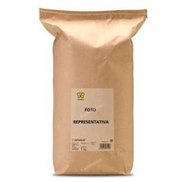 NATURCID Zaragatona Semillas 1Kg Vegano Sin Gluten