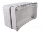 ELEKTRO-PLAST NASIELSK Carcasa Industrial Universal Gris