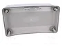 ELEKTRO-PLAST NASIELSK Carcasa Industrial Universal Gris