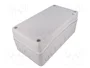 ELEKTRO-PLAST NASIELSK Carcasa Industrial Universal Gris