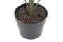 DKD Home Decor Planta PVC Fatsia Japonica Verde 64x64x90 cm