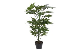 DKD Home Decor Planta PVC Fatsia Japonica Verde 64x64x90 cm