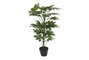 DKD Home Decor Planta PVC Fatsia Japonica Verde 64x64x90 cm