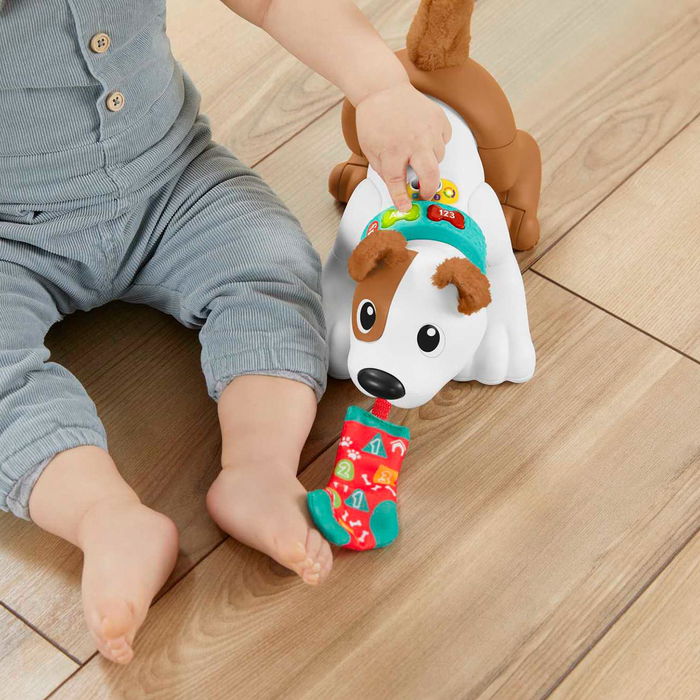 Fisher-Price Perrito Gatea Y Juega Conmigo HGY57 Juguete Interactivo para Bebés con Música y Luces, Edad +6 Meses
