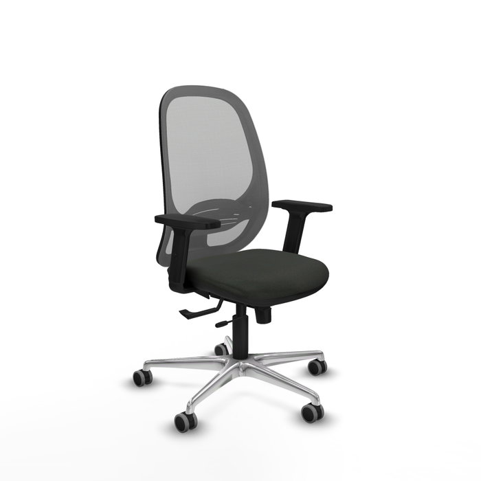 PIQUERAS Y CRESPO Silla de oficina Cilanco con mecanismo Sincro/Traslack, Negro y Gris PIQUERAS Y CRESPO Silla de oficina Cilanco con mecanismo Sincro/Traslack, Negro y Gris