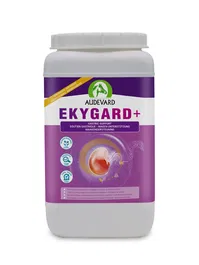 Audevard Ekygard+ 2,4 kg Protección Gástrica Equina Mejorada
