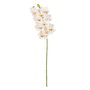 Flor Orquídea Blanco Goma Decoración 71 cm (Set de 4)