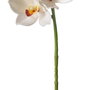 Flor Orquídea Blanco Goma Decoración 71 cm (Set de 4)
