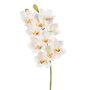 Flor Orquídea Blanco Goma Decoración 71 cm (Set de 4)