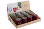 DKD Home Decor Portavelas de Cristal Estrella Surtido