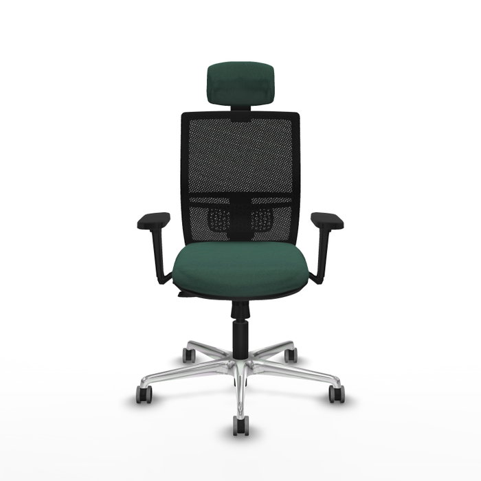 PIQUERAS Y CRESPO Silla de oficina Yunquera con mecanismo Sincro/Traslack, Verde botella y Negro PIQUERAS Y CRESPO Silla de oficina Yunquera con mecanismo Sincro/Traslack, Verde botella y Negro