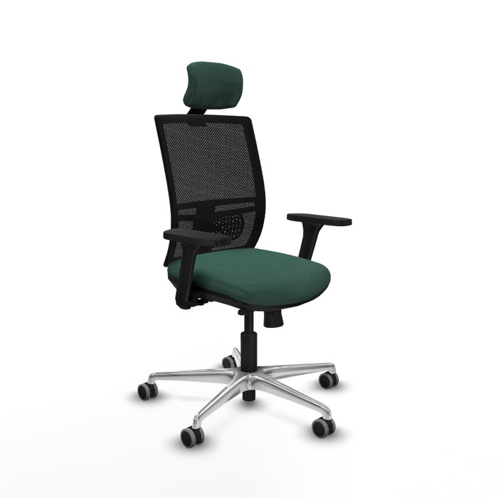 PIQUERAS Y CRESPO Silla de oficina Yunquera con mecanismo Sincro/Traslack, Verde botella y Negro PIQUERAS Y CRESPO Silla de oficina Yunquera con mecanismo Sincro/Traslack, Verde botella y Negro