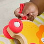 Fisher Price Animales de madera para empujar con forma de hueso