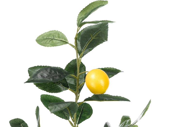 Ibergarden Planta Limonero 58 cm con 7 ramas y 4 frutos, dimensiones 40x58x38 cm, material espuma, plástico y melamina, color verde, amarillo, blanco y marrón (Set de 6)