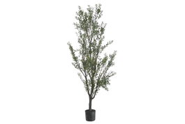 DKD Home Decor Árbol de Olivo Verde 80x80x210 cm