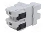 DF ELECTRIC Portafusibles PMX de 2 Polos, 100A, 690VAC