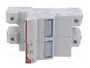 DF ELECTRIC Portafusibles PMX de 2 Polos, 100A, 690VAC