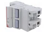 DF ELECTRIC Portafusibles PMX de 2 Polos, 100A, 690VAC
