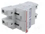 DF ELECTRIC Portafusibles PMX de 2 Polos, 100A, 690VAC