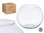 Giftdecor Pecera Cristal Transparente 27 cm x 21 cm x 27 cm (Set de 2)