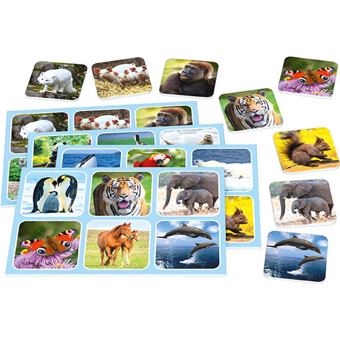 Schmidt Spiele Lotería del zoológico