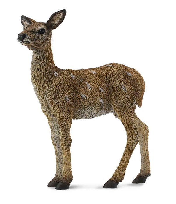 Collecta Cervatillo -S- 88471 Réplica a Escala Pintada a Mano de Alta Calidad Animales del Bosque Juguete Educativo +3 Años Collecta Cervatillo -S- 88471 Réplica a Escala Pintada a Mano de Alta Calidad Animales del Bosque Juguete Educativo +3 Años