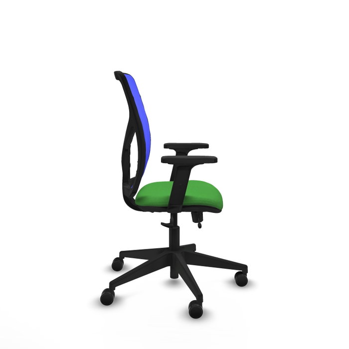 PIQUERAS Y CRESPO Silla de oficina Motilla con mecanismo Sincro/Traslack, Verde y Azul PIQUERAS Y CRESPO Silla de oficina Motilla con mecanismo Sincro/Traslack, Verde y Azul
