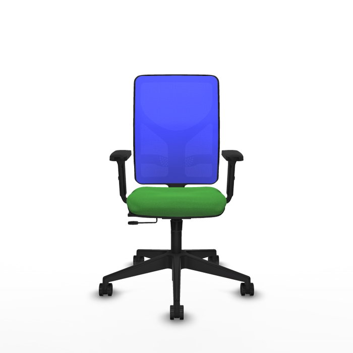 PIQUERAS Y CRESPO Silla de oficina Motilla con mecanismo Sincro/Traslack, Verde y Azul PIQUERAS Y CRESPO Silla de oficina Motilla con mecanismo Sincro/Traslack, Verde y Azul