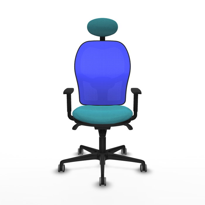 PIQUERAS Y CRESPO Silla de oficina Jorquera con mecanismo Sincro, Tela Turquesa y Malla Azul PIQUERAS Y CRESPO Silla de oficina Jorquera con mecanismo Sincro, Tela Turquesa y Malla Azul