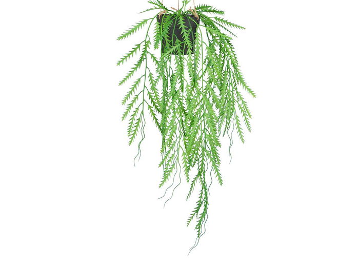 Ibergarden Planta Colgar Hoja Ancha Verde/Negro 30x55x10 cm (Set de 18)