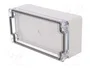 FIBOX EURONORD Carcasa Universal Gris
