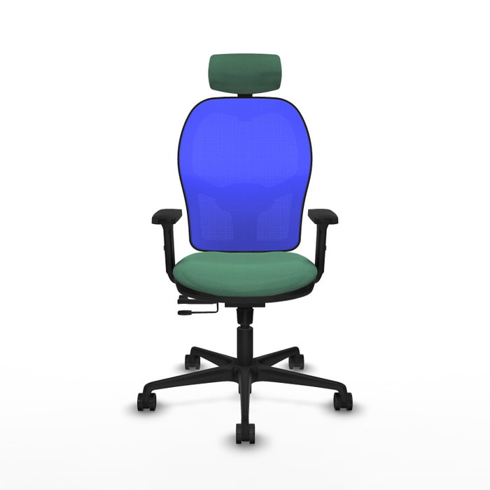 PIQUERAS Y CRESPO Silla de oficina Jorquera con mecanismo Sincro/Traslack Verde esmeralda y Azul PIQUERAS Y CRESPO Silla de oficina Jorquera con mecanismo Sincro/Traslack Verde esmeralda y Azul