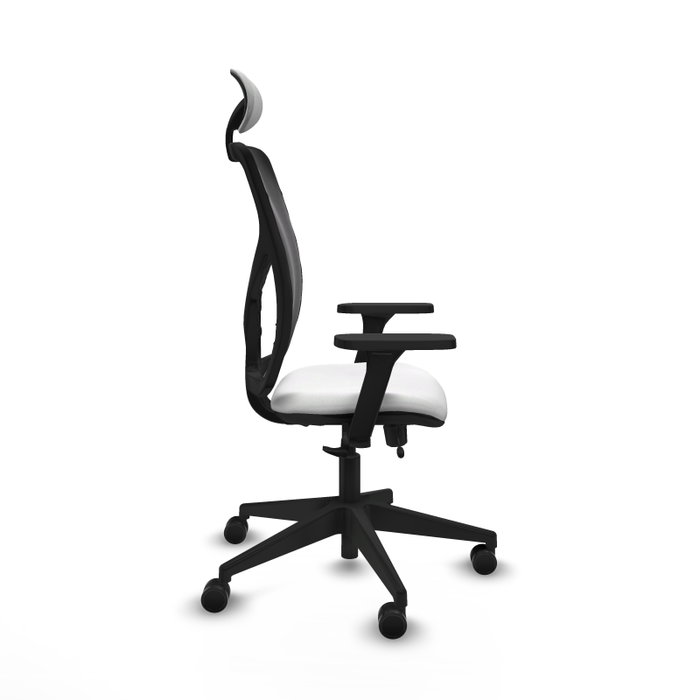 PIQUERAS Y CRESPO Silla de oficina Motilla con mecanismo Sincro/Traslack, Blanco y Negro PIQUERAS Y CRESPO Silla de oficina Motilla con mecanismo Sincro/Traslack, Blanco y Negro