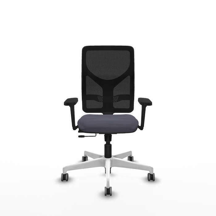 PIQUERAS Y CRESPO Silla de oficina Motilla Gris oscuro/Negro con Brazos 3D PIQUERAS Y CRESPO Silla de oficina Motilla Gris oscuro/Negro con Brazos 3D