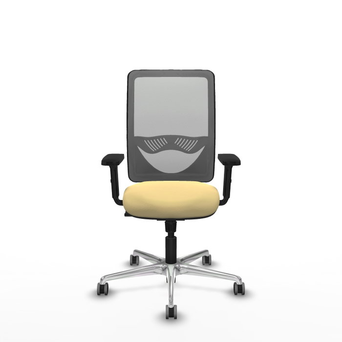 PIQUERAS Y CRESPO Silla de oficina Zulema con mecanismo Sincro, Crema y Gris PIQUERAS Y CRESPO Silla de oficina Zulema con mecanismo Sincro, Crema y Gris