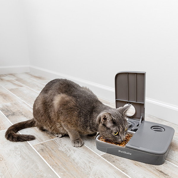 Petsafe Comedero Automático con Doble Bandeja y Programación de 24 Horas Petsafe Comedero Automático con Doble Bandeja y Programación de 24 Horas