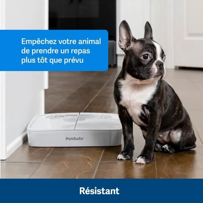 Petsafe Comedero Automático Dos Comidas Petsafe Comedero Automático Dos Comidas