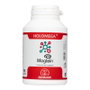 EQUISALUD Holomega Magtein L-treonato de magnesio 90 cápsulas