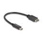 DeLOCK Cable USB Tipo-E Key A a USB Tipo-C 10 Gbps 25 cm