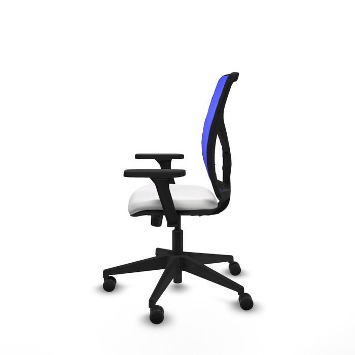 PIQUERAS Y CRESPO Silla de oficina Motilla con mecanismo Sincro, Azul y Blanco PIQUERAS Y CRESPO Silla de oficina Motilla con mecanismo Sincro, Azul y Blanco