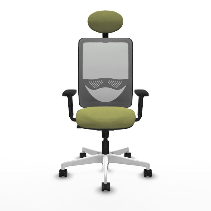 PIQUERAS Y CRESPO Silla de oficina Zulema con mecanismo Sincro, Verde oliva y Gris PIQUERAS Y CRESPO Silla de oficina Zulema con mecanismo Sincro, Verde oliva y Gris