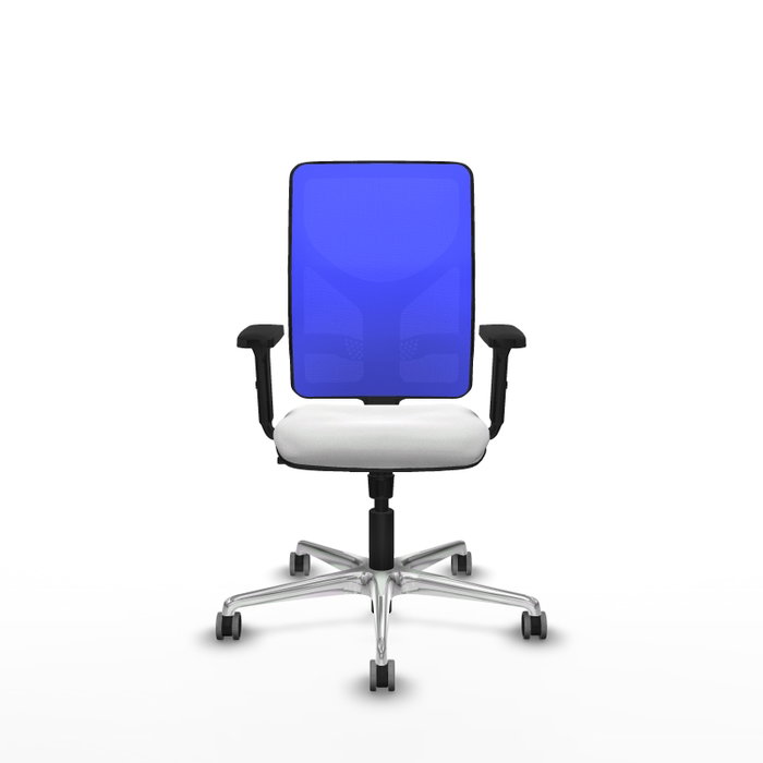 PIQUERAS Y CRESPO Silla de oficina Motilla con Mecanismo Sincro, Blanco y Azul PIQUERAS Y CRESPO Silla de oficina Motilla con Mecanismo Sincro, Blanco y Azul