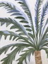 DKD Home Decor Cuadro Lienzo PS 75x4x100 Palmera Surtido de 2 unidades