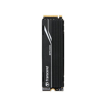Transcend MTE250H SSD 1 TB M.2 2280 NVMe PCIe Gen4x4 Transcend MTE250H SSD 1 TB M.2 2280 NVMe PCIe Gen4x4