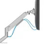 Neomounts Neomounts DS70-250SL1 Brazo de monitor 17-35 pulgadas Plata