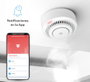 Garza 401345C Detector de Humos Smart Wifi con Alarma en Tiempo Real y Fácil Instalación