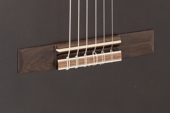 Guitarra Clásica Admira Luna Electrificada con Fishman Serie Estudio