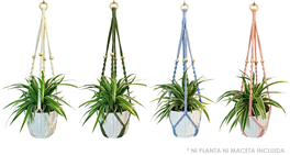 DKD Home Decor Macetero de Algodón y Madera con Bolas, Surtido de 4 Colores
